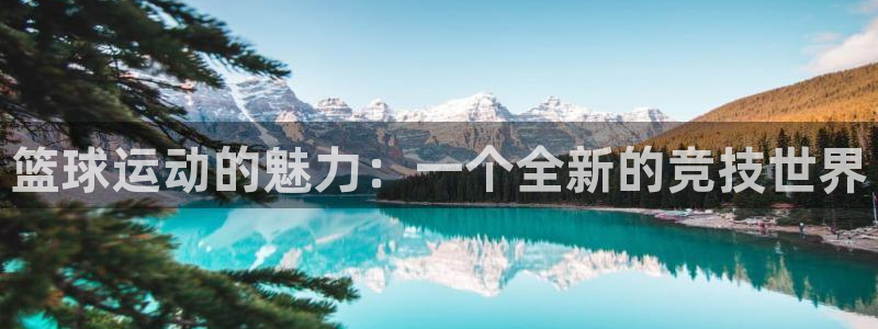 篮球运动的魅力：一个全新的竞技世界