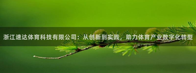 浙江速达体育科技有限公司：从创新到实践，助力体育产业数字化转型